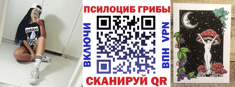 где найти наркотики  Весьегонск  Псилоцибиновые грибы Psilocybine cubensis 